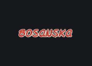 Chat radio bosanska posavina