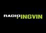 Internet Radio Pingvin