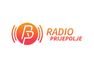 Radio Prijepolje