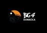 Radio Big 4 domaćica