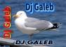 Radio Galeb