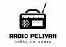 Radio Pelivan