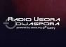 Radio Usora Dijaspora